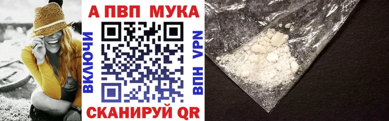 Купить закладки  Порхов  Alpha PVP крисы CK 