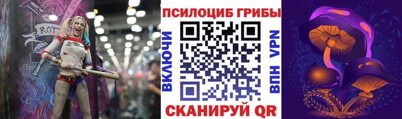 Купить  Порхов  Галлюциногенные грибы мицелий 